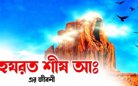 হযরত শীষ আ: এর জীবনী | Biography of Hazrat Shish (AS)
