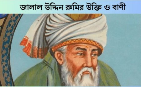 মাওলানা রুমির সেরা ১০০ টি অমূল্য বাণী ও উক্তির