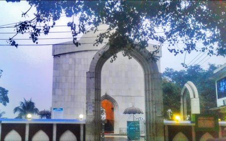 হযরত শাহ সুলতান বলখী মাহিসাওয়ার (রহঃ) বাংলার আধ্যাত্মিক যোদ্ধার জীবনী