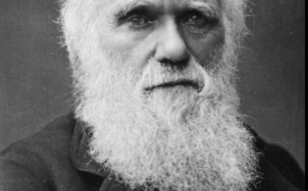 বিবর্তন তত্ত্বের প্রবর্তক চার্লস ডারউইনের জীবনী-biography of charles darwin