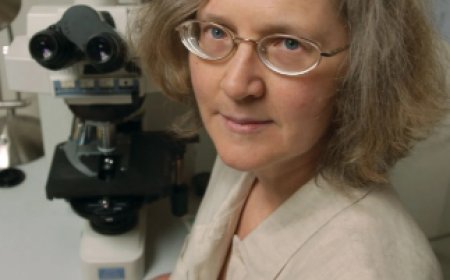 এলিজাবেথ ব্ল্যাকবার্ন এর জীবনী | Biography of Elizabeth Blackburn