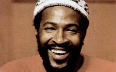 মারভিন গে এর জীবনী | Biography of Marvin Gaye
