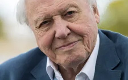 ডেভিড অ্যাটেনবরো  এর জীবনী | Biography Of David Attenborough