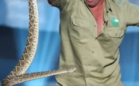 স্টিভ আরউইন এর জীবনী | Biography Of Steve Irwin
