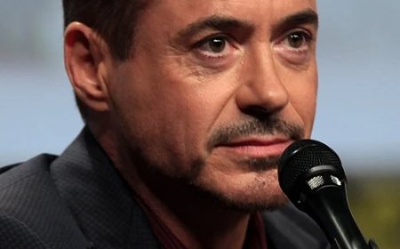 রবার্ট ডাউনি জুনিয়র এর জীবনী | Biography Of Robert Downey Jr