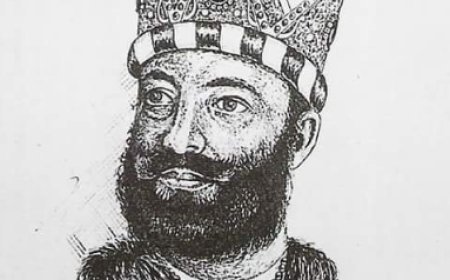 সুলতান মাহমুদ গজনবী এর জীবনী | Biography of Sultan Mahmud Ghaznavi