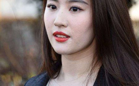 Biography Of  Yifei Liu