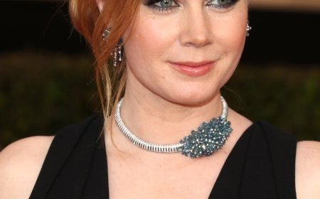 অ্যামি অ্যাডামস এর জীবনী  |  biography  Amy Adams'
