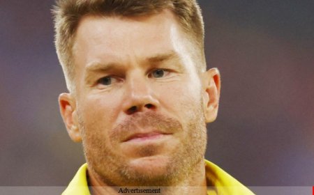 ডেভিড ওয়ার্নার এর জীবনী  Biography Of David Warne