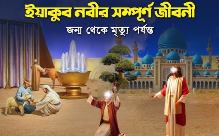 আইয়ূব (আঃ)  এর জীবনী  | Biography of Ayyūb (Alayhi assalam)