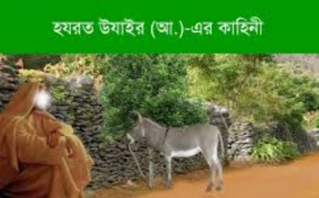 উযায়ের (আঃ) এর জীবনী | Biography of Uzair