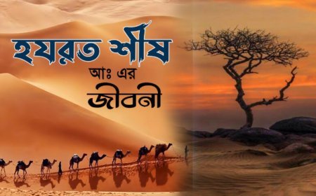 শীস (আঃ) এর জীবনী | Biography of Seth