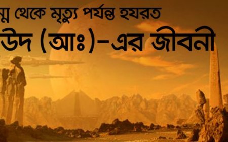 দাউদ (আ). এর জীবনী | Biography of (Dāwūd Alaihissalam)