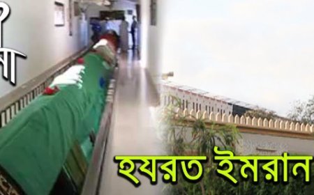 ইমরান (আ.) এর জীবনী | Biography of Al Imran (alaihissalam)