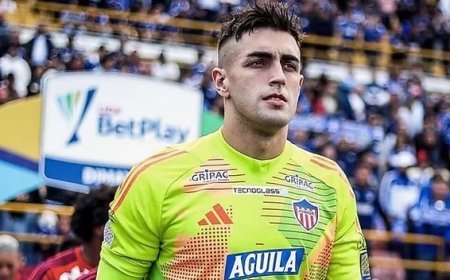 সান্তিয়াগো মেলে এর জীবনী | Biography of Santiago Mele