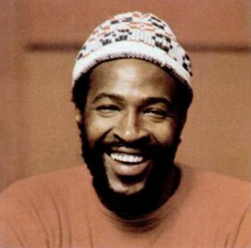 মারভিন গে এর জীবনী | Biography of Marvin Gaye