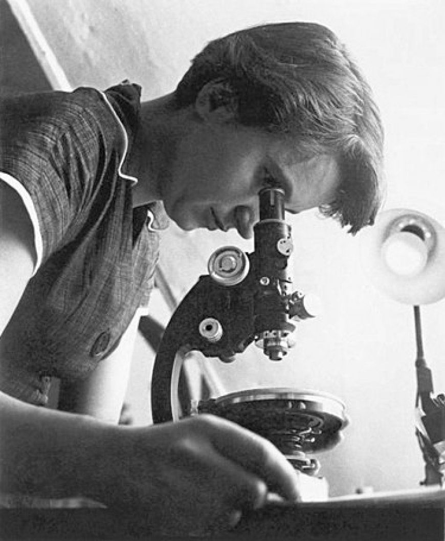রোজালিন্ড ফ্র্যাঙ্কলিন এর জীবনী | Biography Of Rosalind Franklin