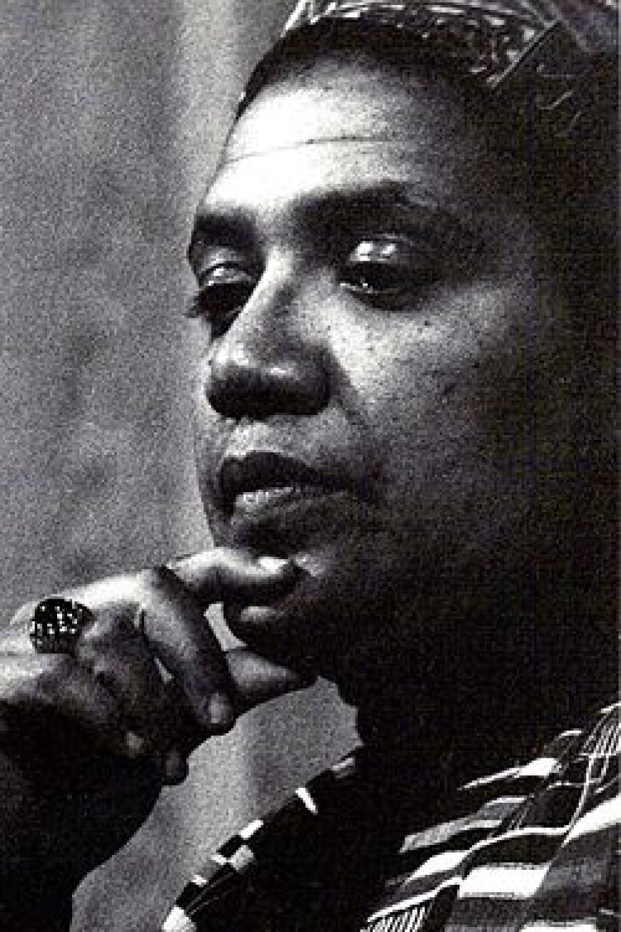 অড্রে লর্ড এর জীবনী | Biography of Audre Lorde