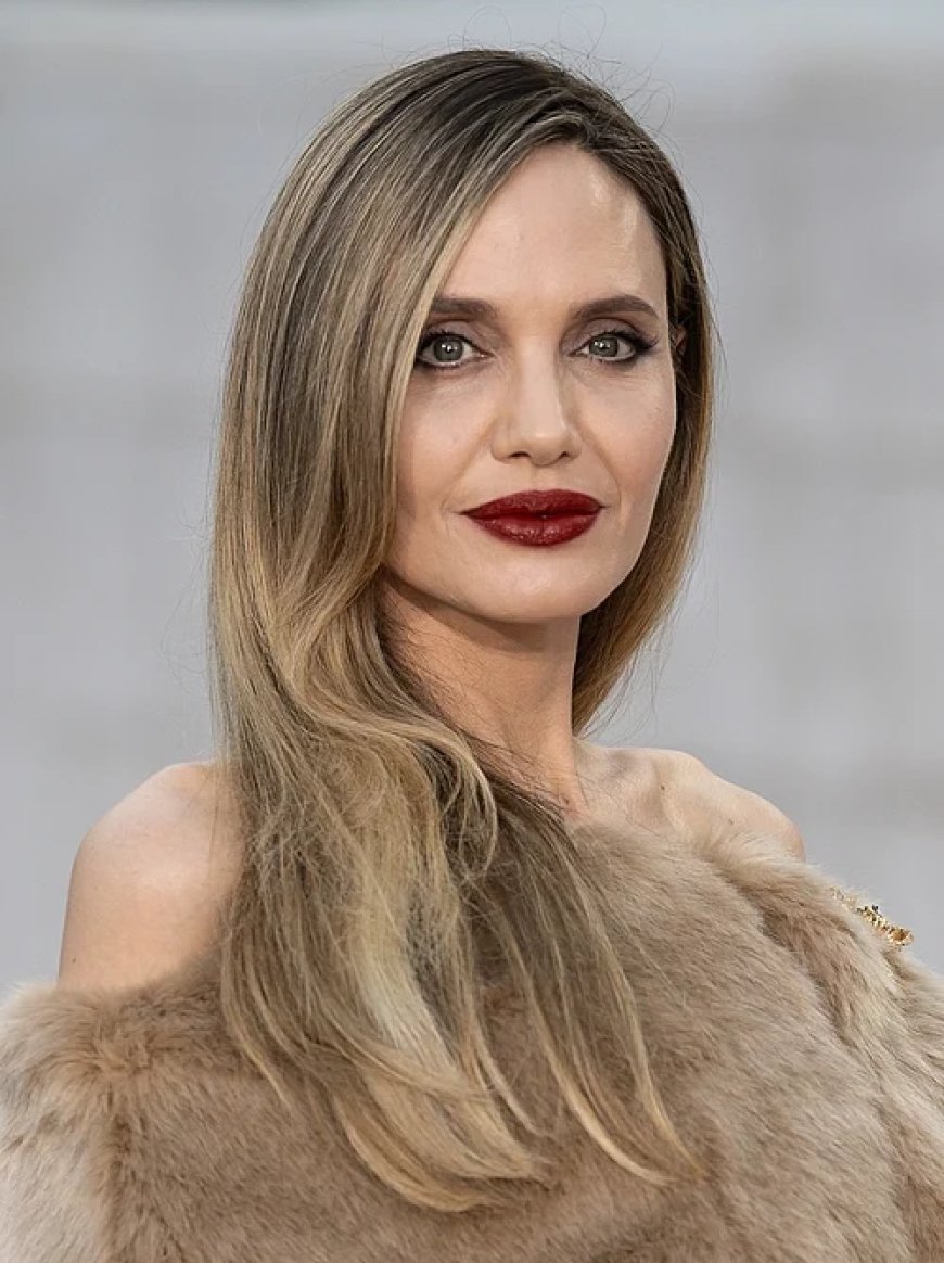 অ্যাঞ্জেলিনা জোলি এর জীবনী | Biography Of Angelina Jolie