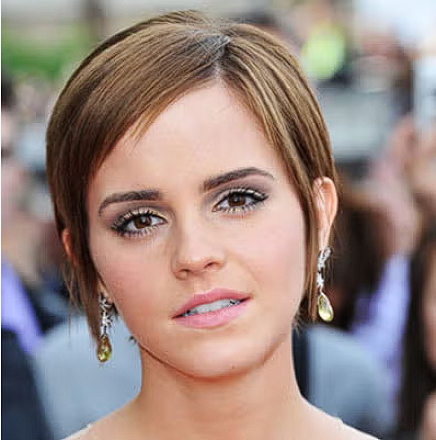 Biography Of Emma Watson