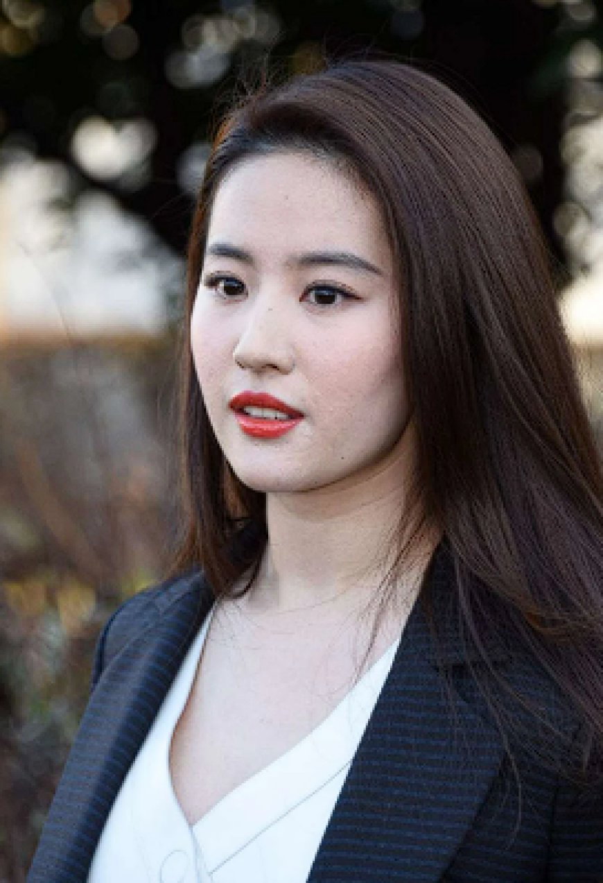 Biography Of Yifei Liu