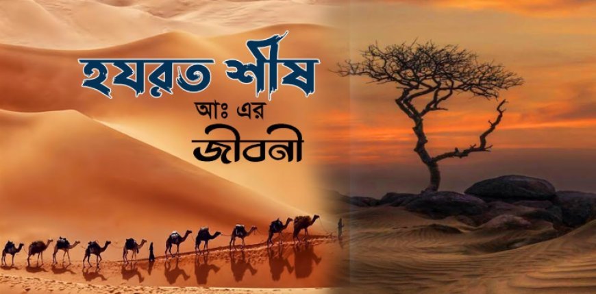 শীস (আঃ) এর জীবনী | Biography of Seth