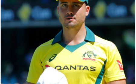 মার্কাস স্টইনিস এর জীবনী | Biography Of Marcus Stoinis