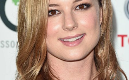 biography of Emily VanCamp