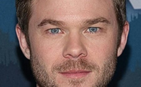 biography of Shawn Ashmore