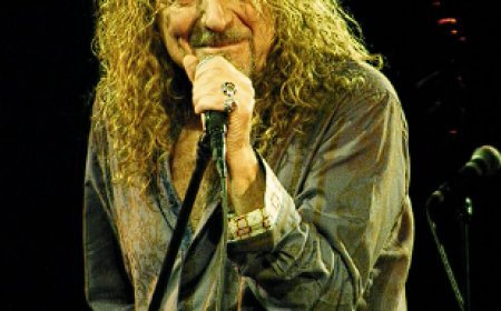 biography of Robert Plant