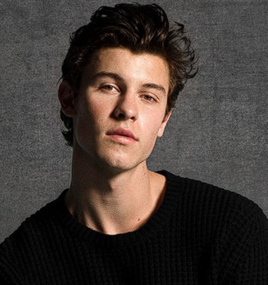 biography of Shawn Mendes